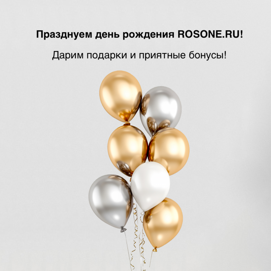 🎉  Празднуем День Рождения!