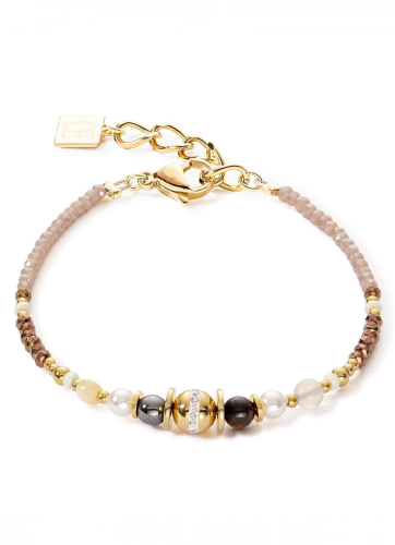 Фото Браслет Brown-Gold Coeur de Lion 4349/30-1116