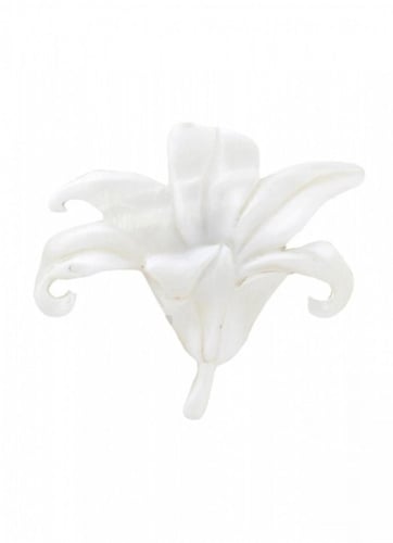 Фото Брошь Lis Blanc Nature Bijoux 10-23960
