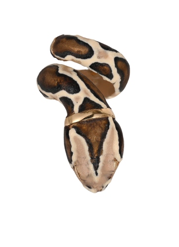 Фото Кольцо "Змеи" Annibale Baldini AB00701010