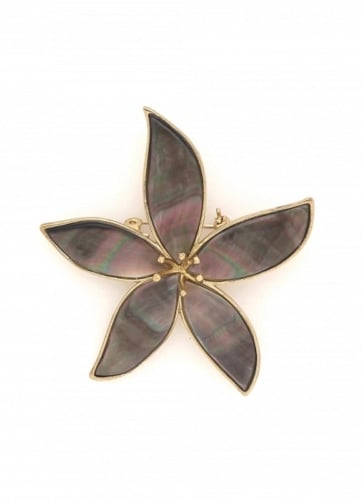 Фото Брошь Les Essentiels Botanic Nature Bijoux 10-23930