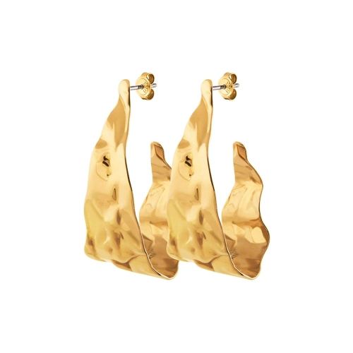 Фото Серьги KLINT SG Dyrberg Kern 351556 G