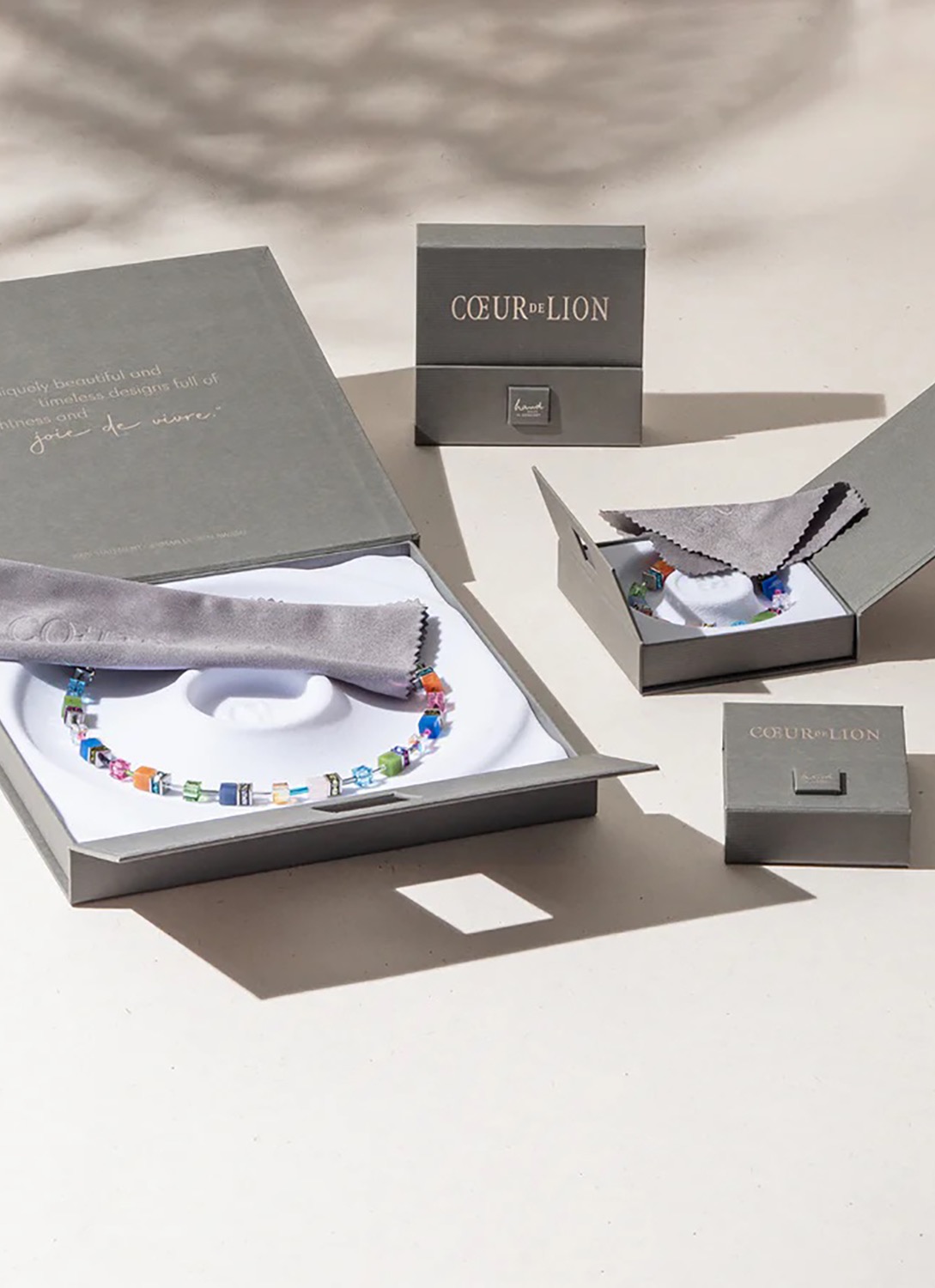 Фото Серьги Hoop Crystal-Silver Coeur de Lion 0146/23-1817