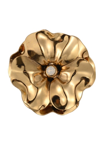 Фото Брошь Claudio Canzian CC00211172