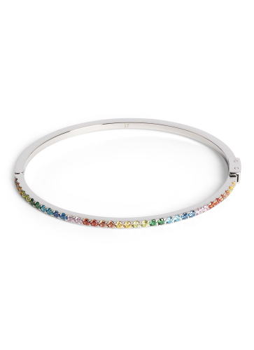 Фото Браслет Multicolour Silver Coeur de Lion 0146/32-1517 17