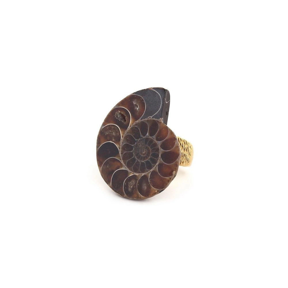Фото Кольцо Wabi Nature Bijoux NB24.2-19-25200