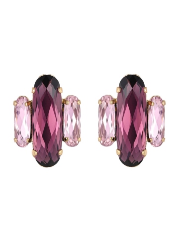 Фото Клипсы Claudio Canzian CC00202918 violet