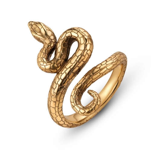 Фото Кольцо SERPENTE CHI SI CONTORCE Fiore di Firenze AN2406