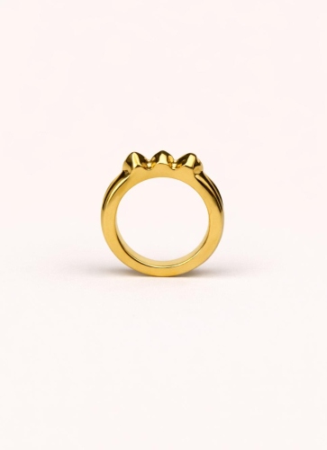 Фото Кольцо Iris Ciclon 260505-42-1