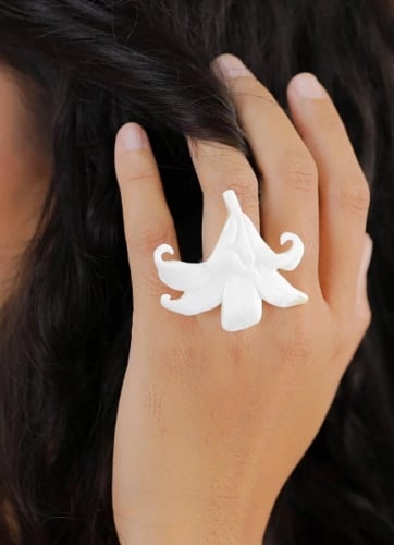 Фото Кольцо Lis Blanc Nature Bijoux 19-26022