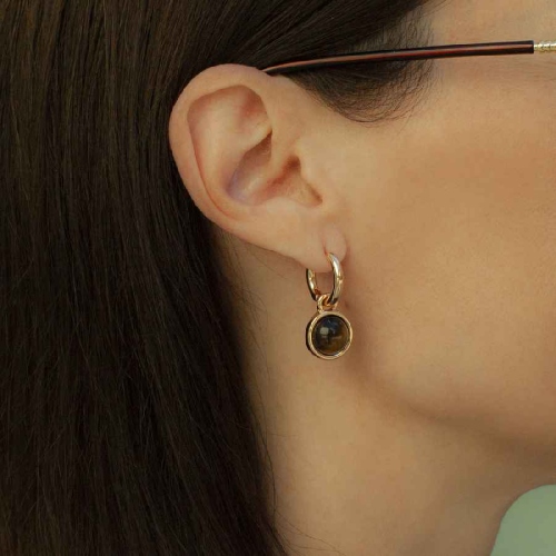 Фото Серьги TIGER EYE Elegia Fiore Luna LE1115 BR/G