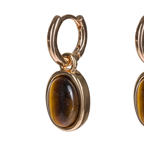 Фото Серьги TIGER EYE Elegia Fiore Luna LE1203 BR/G