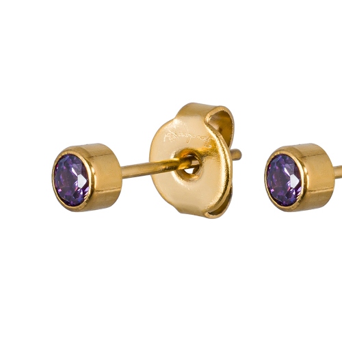 Фото Пусеты Cubic zirconia Amethyst Fiore Luna Classic SWE0128 AM G