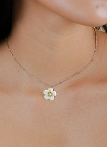 Фото Колье Goldie Franck Herval 15-64582