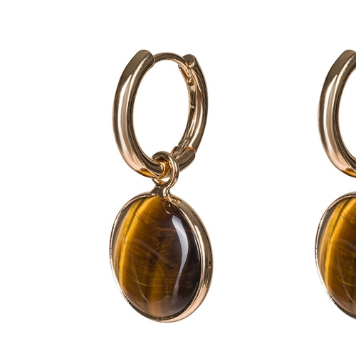 Фото Серьги TIGER EYE Elegia Fiore Luna LE1120 BR/G