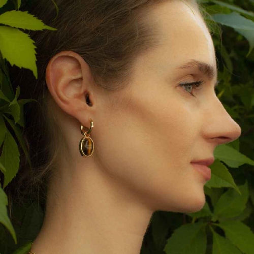 Фото Серьги TIGER EYE Elegia Fiore Luna LE1203 BR/G